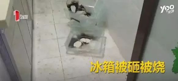 房子租给一对年轻人开门后续,房东将房子租给了一对小夫妻