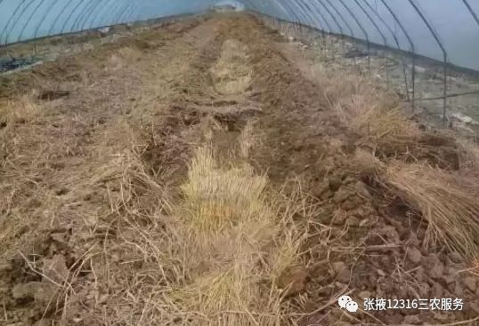 冬天温室大棚保暖的十种方法,温室大棚怎么增温