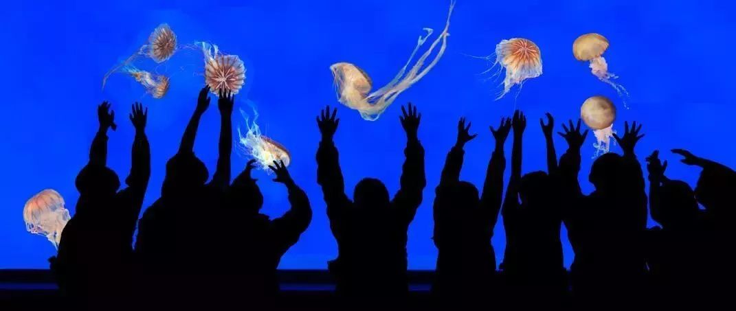 上海旅游景点年卡延期,上海旅游年卡景点一览表