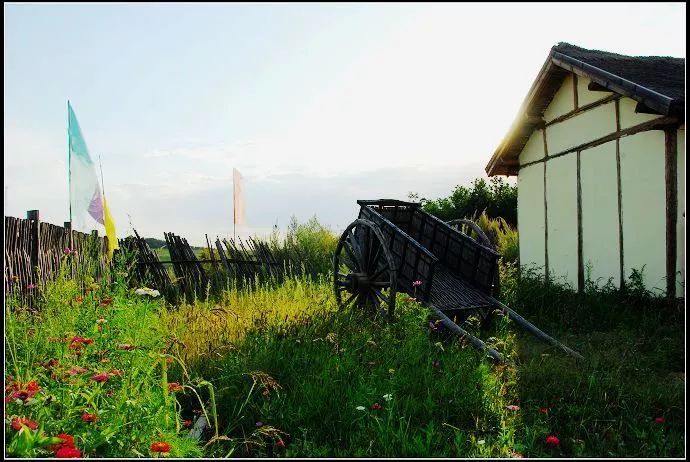 参观了解鹤城文化,鹤城文化生态