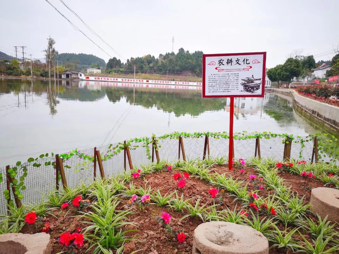 聚焦乡村振兴共建和谐美丽新农村,聚焦三农合村并居