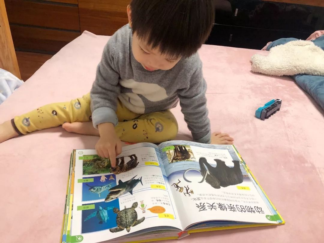 现在的孩子真是不知道怎么想的,现在的孩子真的是脑洞大开