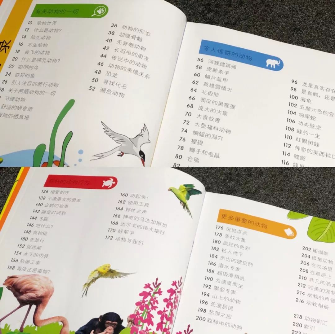 现在的孩子真是不知道怎么想的,现在的孩子真的是脑洞大开