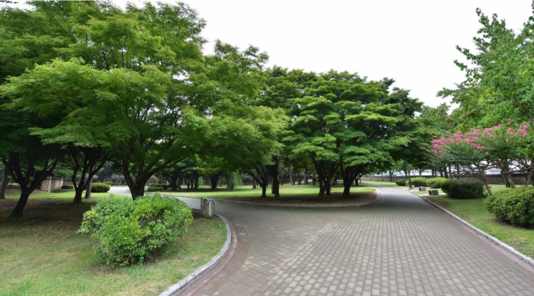 园林大讲堂｜清溪川：韩国人最引以为傲的生态改造项目