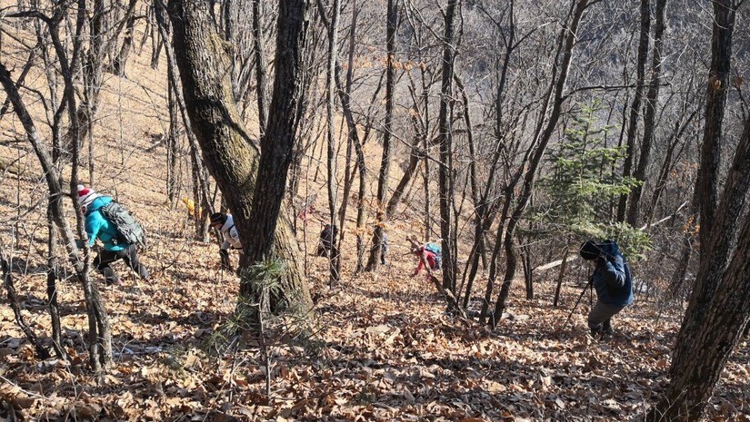 汪清天一户外12月30日登鹰嘴砬子精彩回放