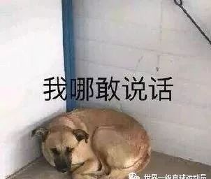 摄影机不要停精彩片段,摄影机不要停完整版免费