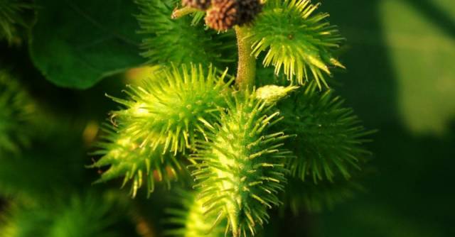 沛县人小时候偷偷干过的坏事，照片里有你吗？