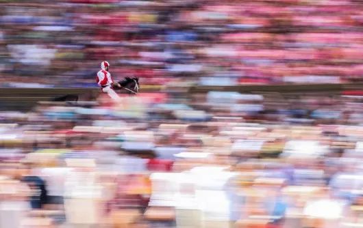 回顾2019年的体坛,铭记体坛2014瞬间