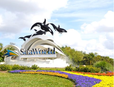 美国奥兰多房子格局,美国奥兰多住宅区