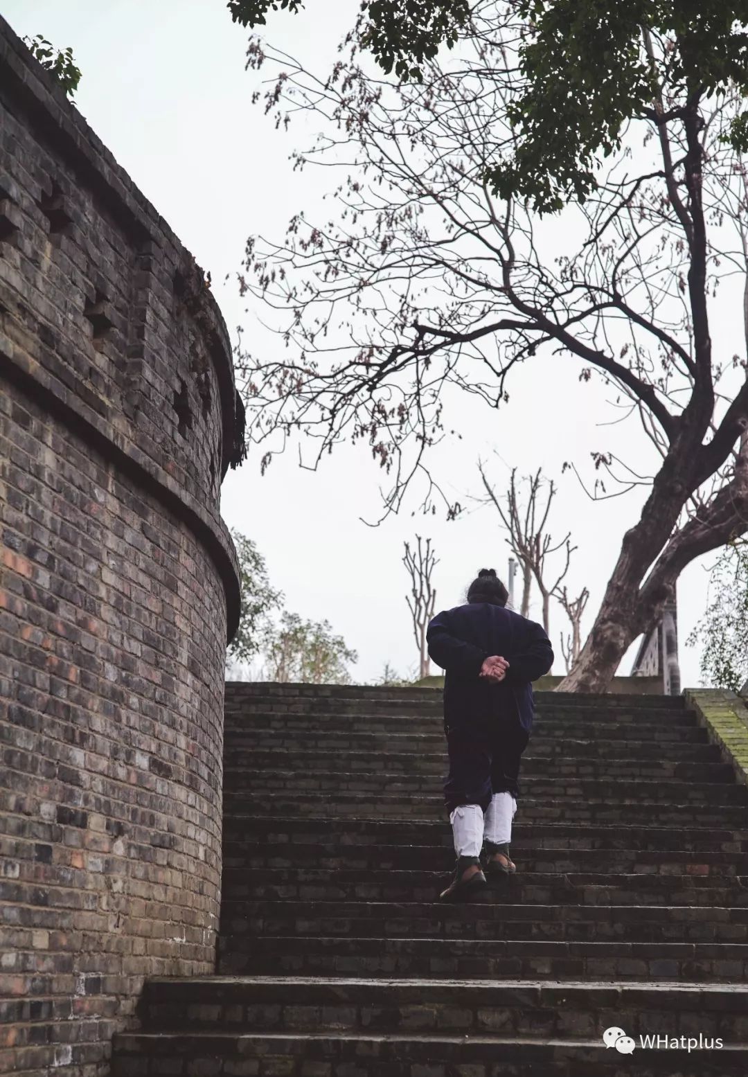 南普陀寺素菜馆推荐,观音山十大素菜馆