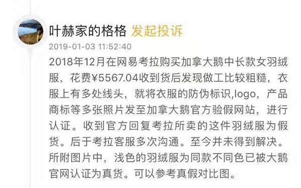 网易考拉的加拿大鹅是真的吗,加拿大鹅和网易考拉