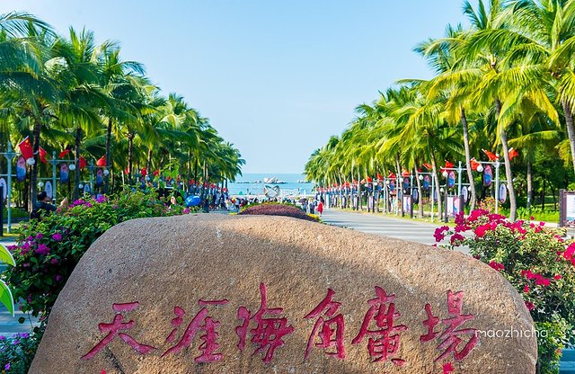 第一次去大城市攻略,大城一日游路线攻略