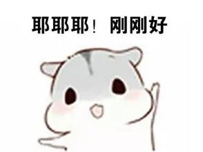 本周六深圳的最低气温和最高气温,12月25日深圳天气