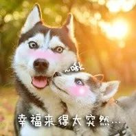 好紧张好想表白,好紧张马上要和喜欢的人表白了