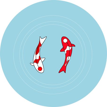 好紧张好想表白,好紧张马上要和喜欢的人表白了