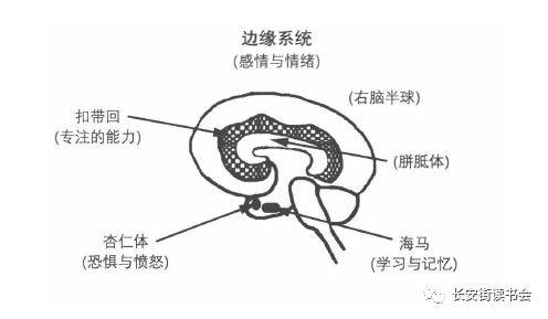 吉尔泰勒自述开悟经历,吉尔泰勒书籍