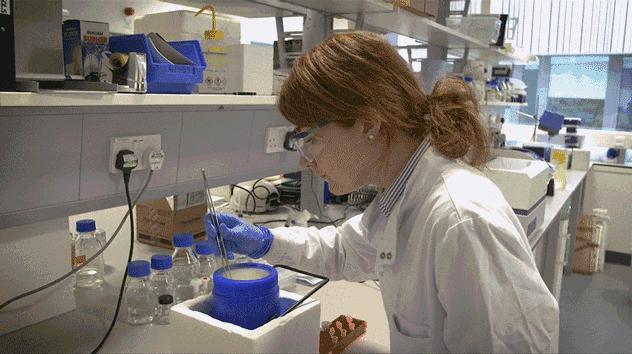 入睡困难失眠助眠,缓解失眠助眠