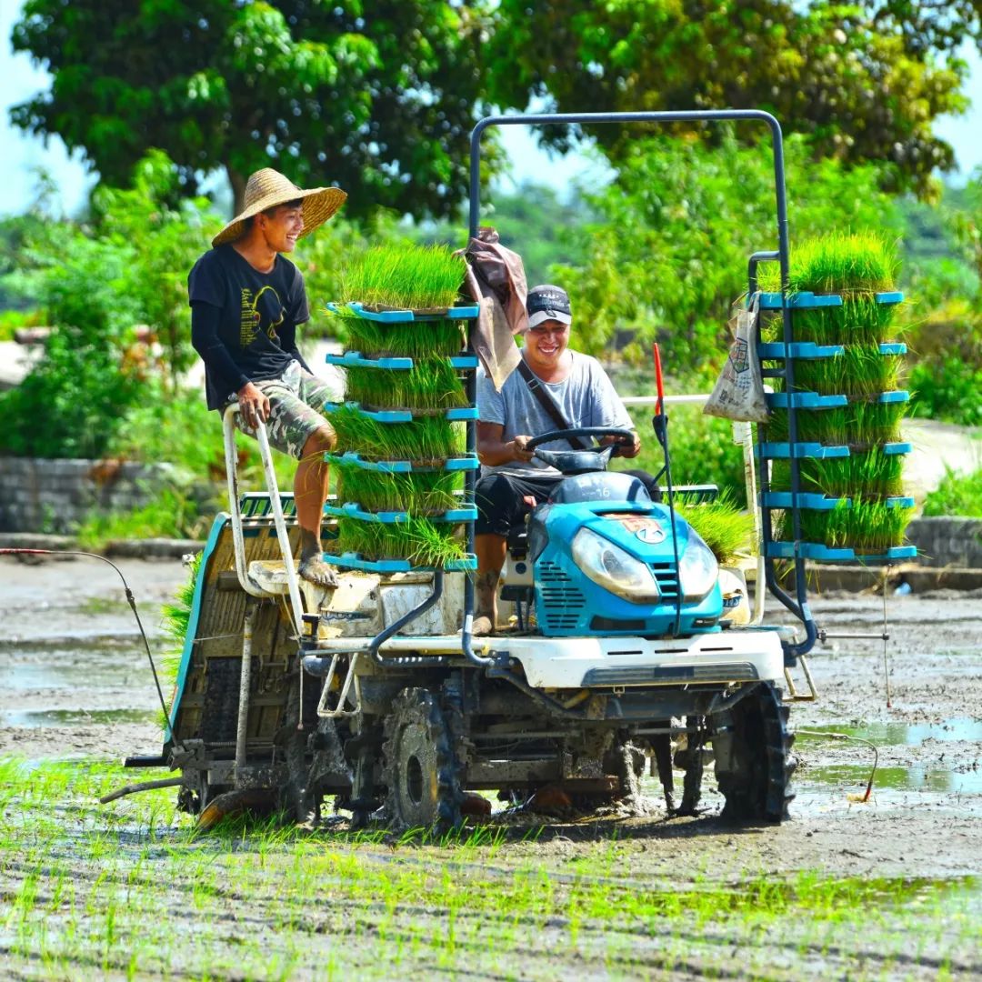 99%的斗门人都没看过的斗门，赶紧看！
