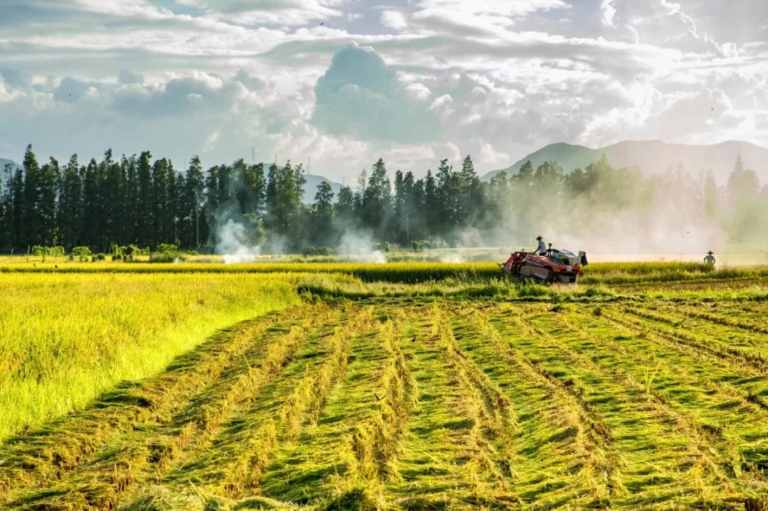 99%的斗门人都没看过的斗门，赶紧看！