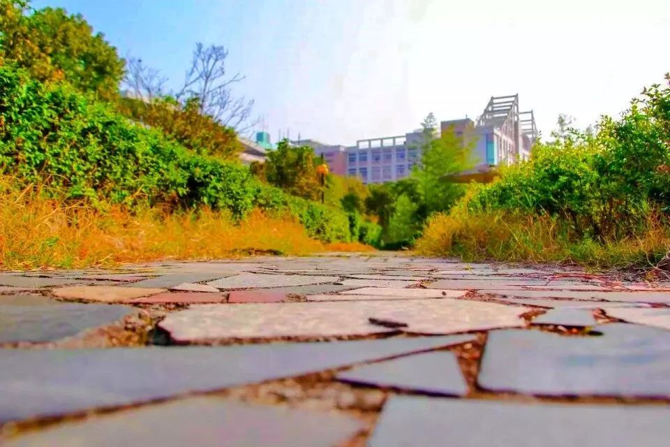 请给我来一碗“江工专属腊八粥”