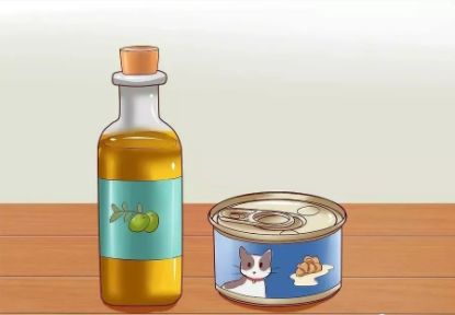 猫咪便秘吃肠道处方粮,猫咪便秘按摩肚子手法