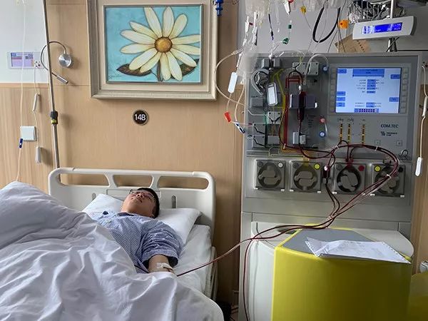 干细胞最全科普,造血干细胞移植后白细胞低原因