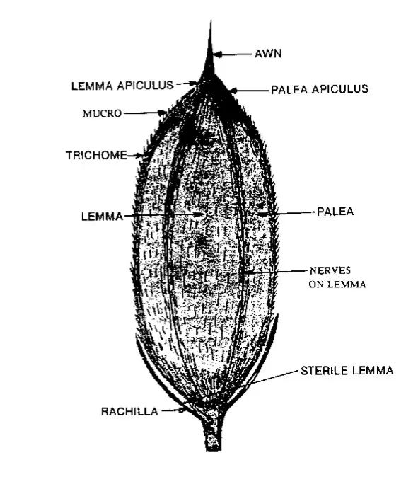 整个北欧的设计，都在这架飞机上