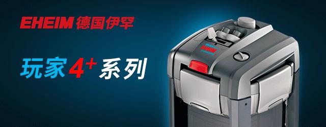 沉木泡了一年了还是掉色,沉木发黑怎么彻底处理