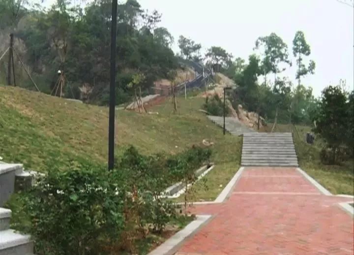 中山新增公园地址,中山紫马岭公园今年春节开放吗