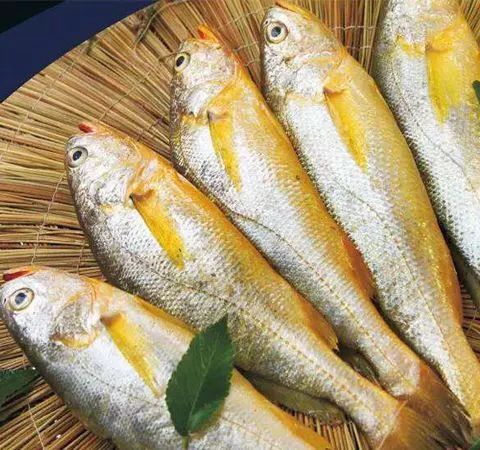 日照有什么好玩的地方,日照金山