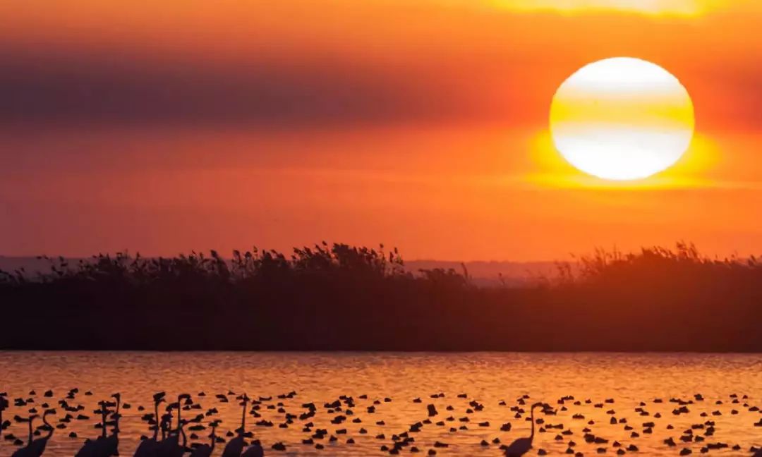 西班牙十大景点,西班牙十大风景名胜