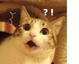 日本网红眼药水是什么,遭禁售的日本眼药水