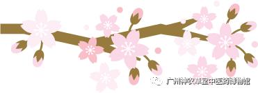 待春花烂漫赏樱花盛开,春花怒放等你来