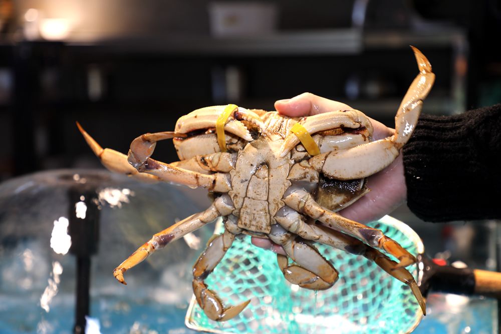 香港海鲜花胶鸡,香港花胶鸡推荐