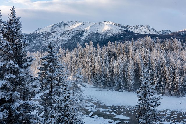 冬日喀纳斯，梦中的冰雪童话世界