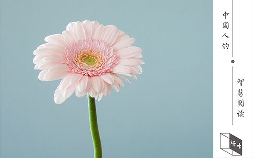 空杯归零的小故事,空杯故事完整版