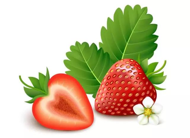 谁说创业的味道酸甜苦辣？这位90后小农女说，它是草莓味的