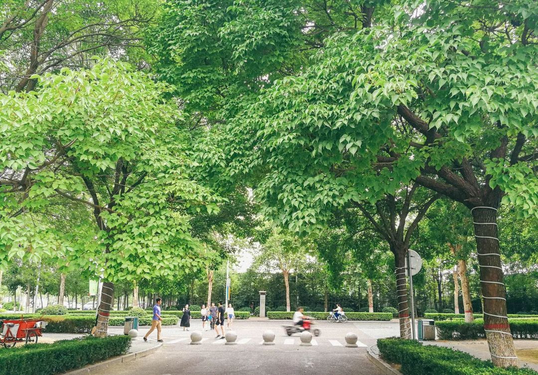 郑州欢迎你2018,2020郑州招才引智大会