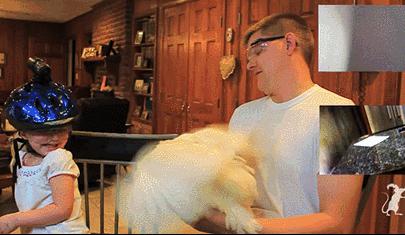 鸡头上装摄像头拍摄,鸡头摄像头拍摄视频