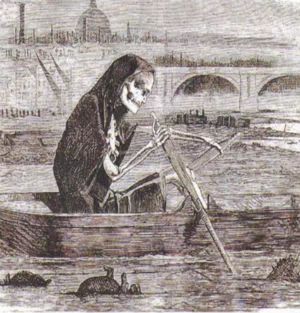 习*平近**生态文明思想由何而来指引我们到哪里去丨文稿