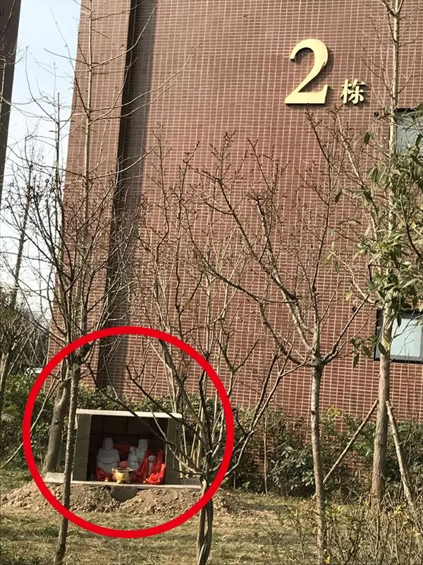 小区里突然钻出一个公园,小区突然冒出一堵墙