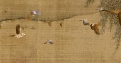 青少年看日本动漫好吗,日本动漫对中国青少年的影响