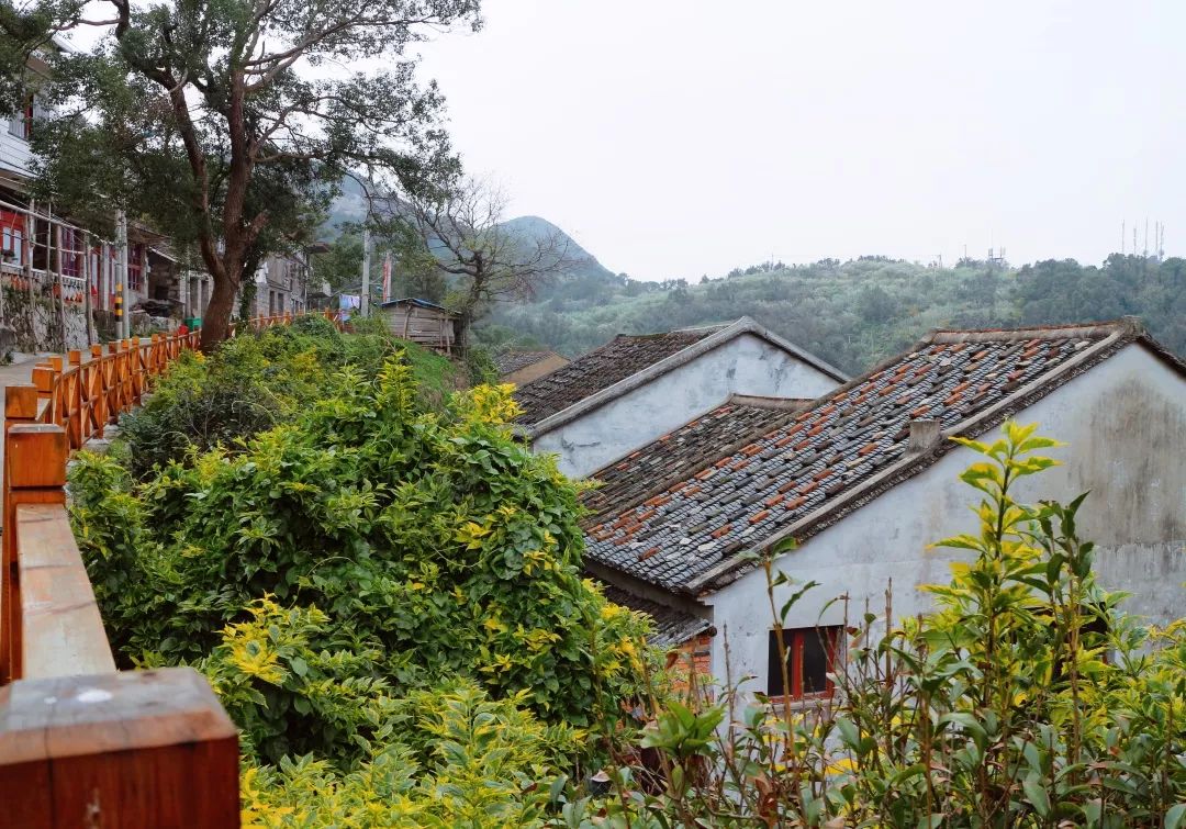 嵛山岛清华大学,清华建筑系岛屿少年