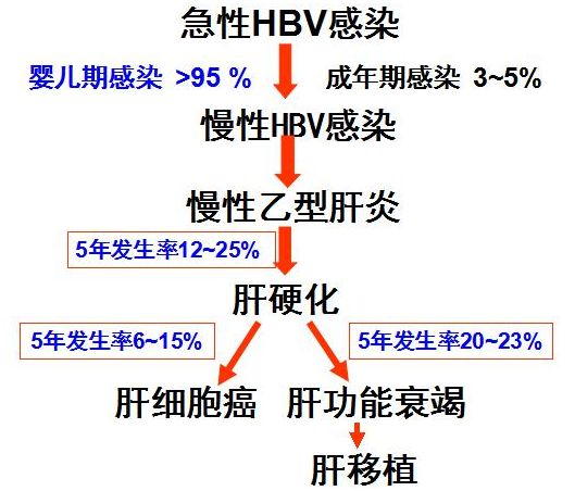 慢性活动性乙型病毒性肝炎起因,病毒性肝炎的历史