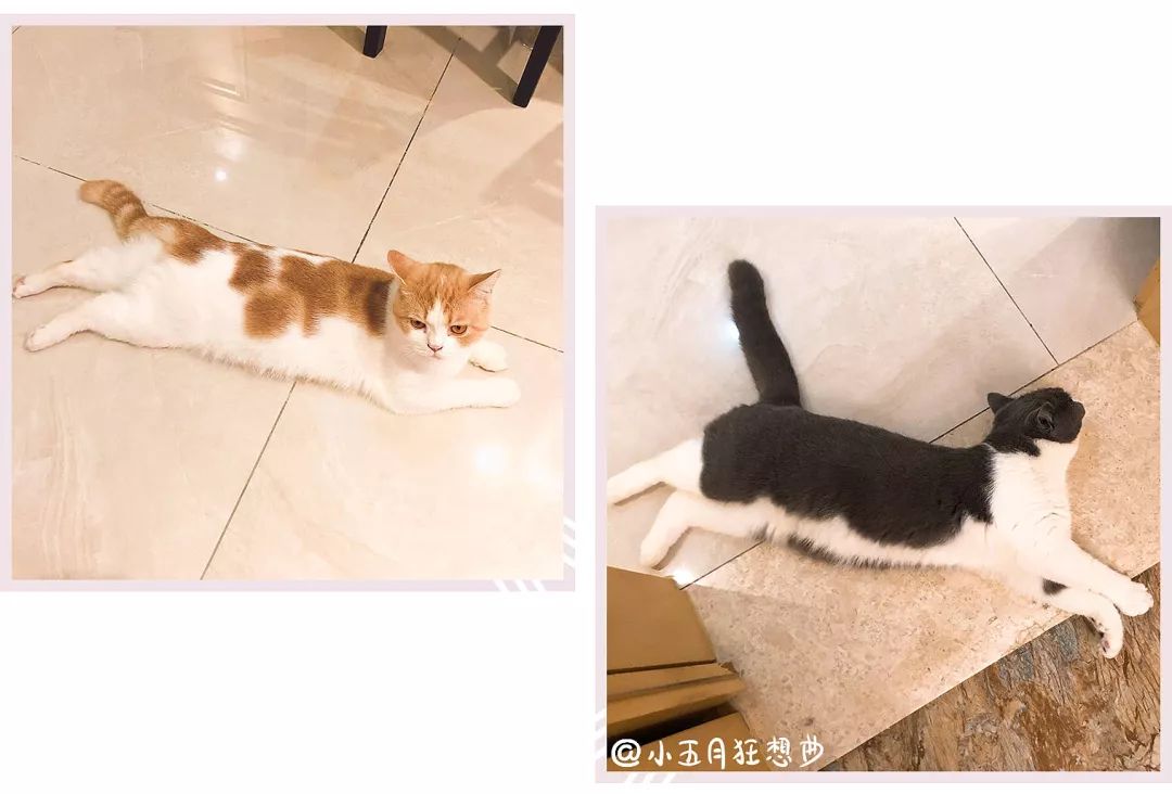 卷发棒、睡衣、帽子……我这个新年都囤了啥？