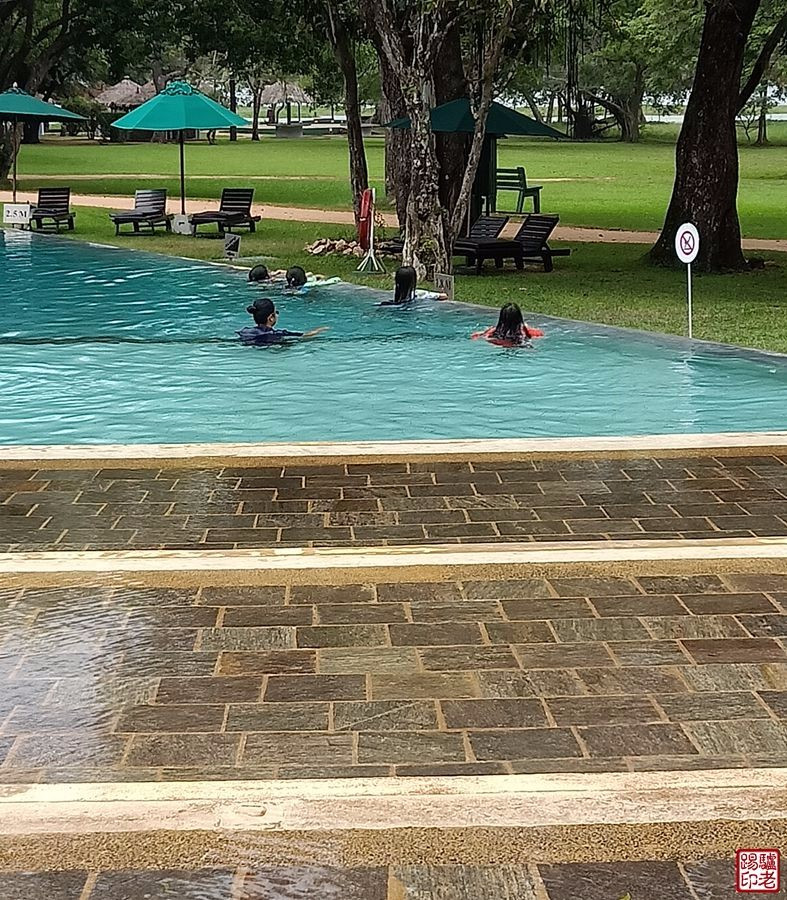 斯里兰卡农村真实生活视频,斯里兰卡华人真实生活视频