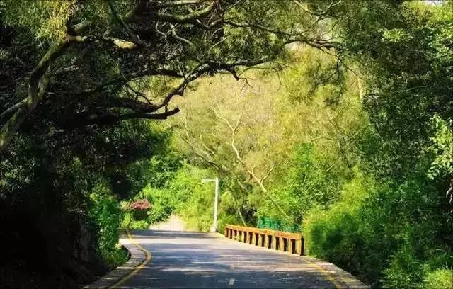 火速收藏!冬*你日**想要的阳光、骑行、美食美景都在这儿~