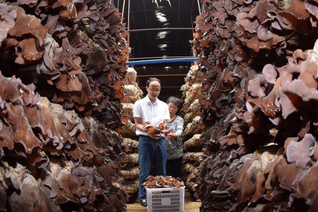 关于食品安全的谣言,关于农产品的谣言