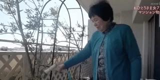 不结婚的女人老了怎么办,不结婚的单身人如何养老