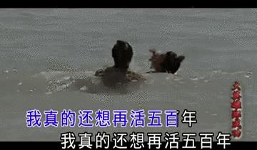 「青分享」一张KTV歌单，一场怀旧趴体